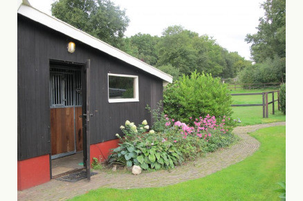 Vakantiehuisje aan de rand van het bos VMP005